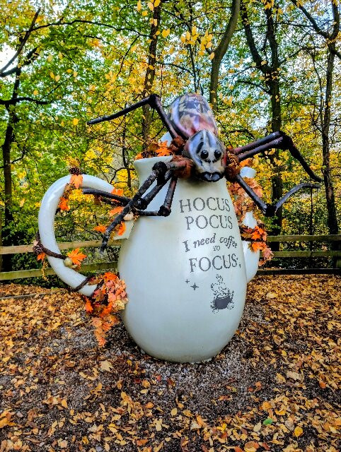 Mother Shipton's Cave-Knaresborough必去景点