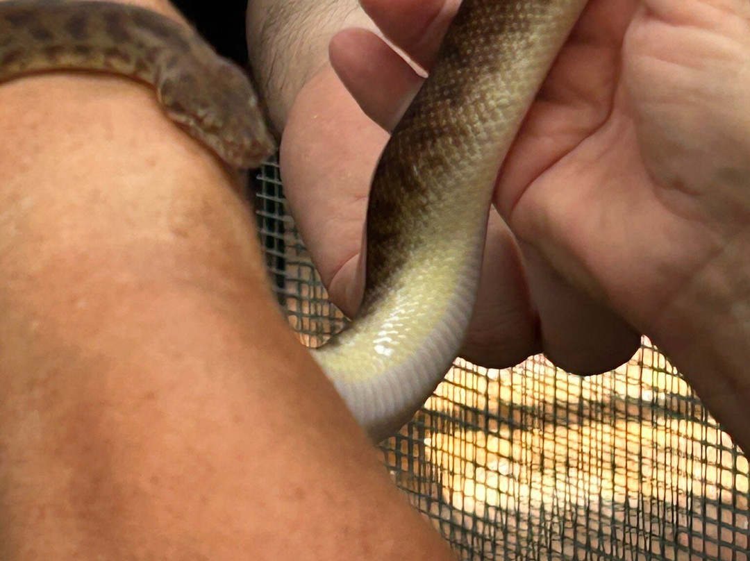 Port Stephens Animal Adventures-Bobs Farm必去景点