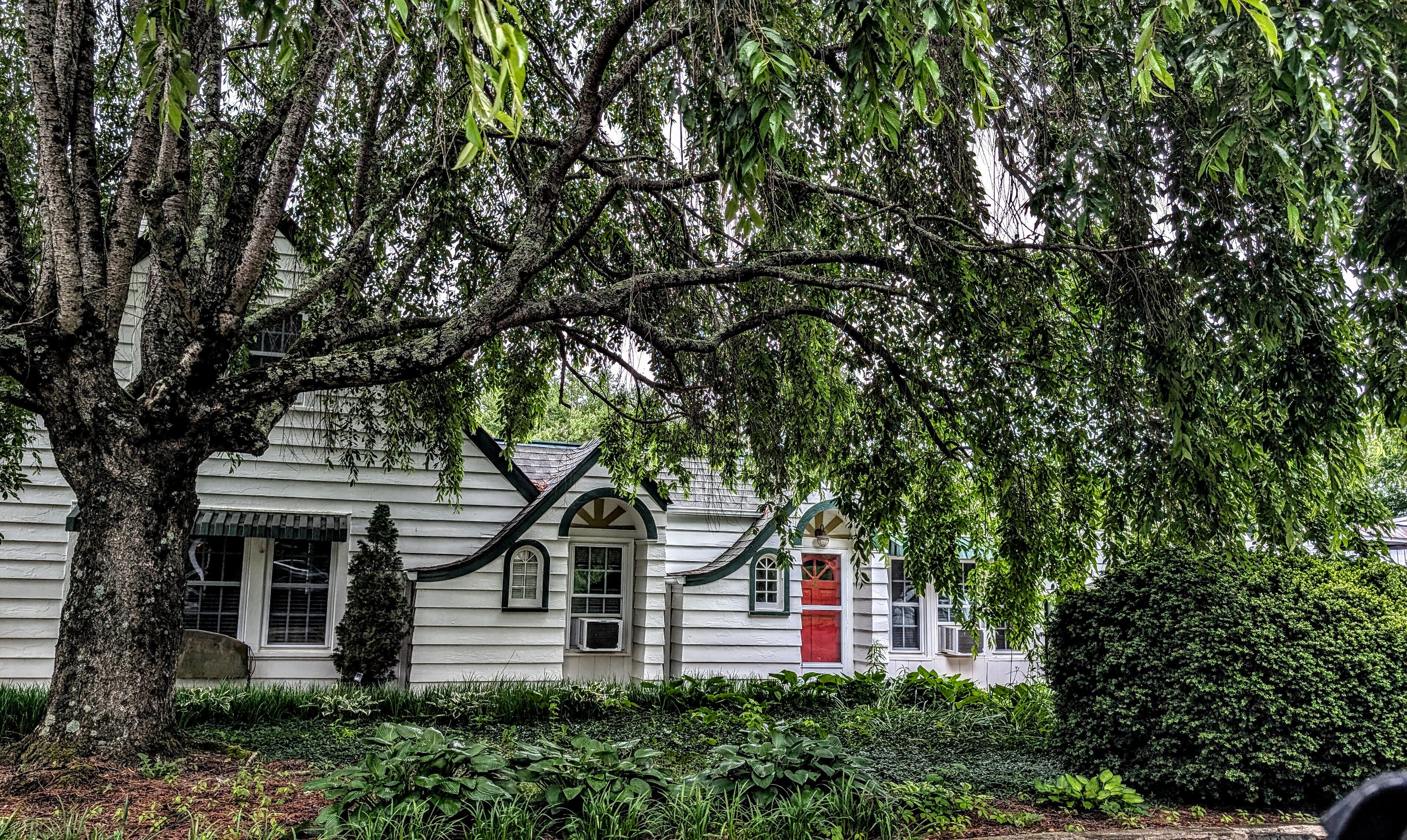 The Pine Tavern Lodge-浴室