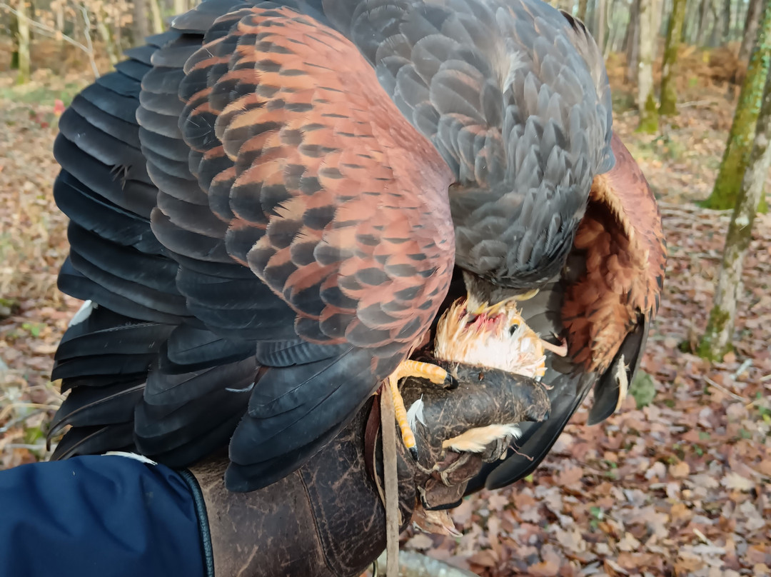 Mon Perroquet & Cie-Montrichard必去景点