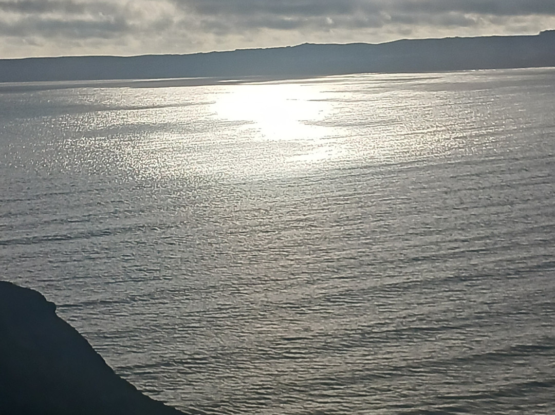 White Rose Guest House主图