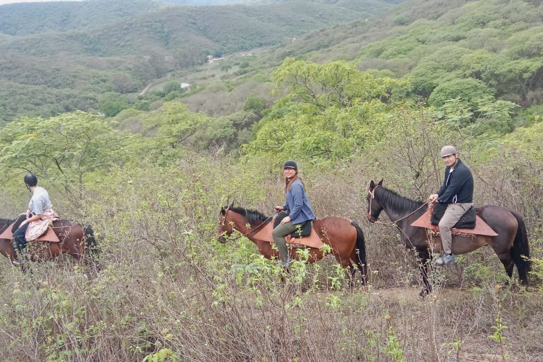Cabalgatas Gauchas-萨尔塔必去景点