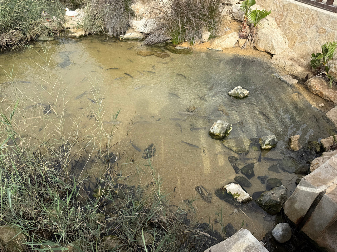 Javea Weekly Market-哈韦阿必去景点