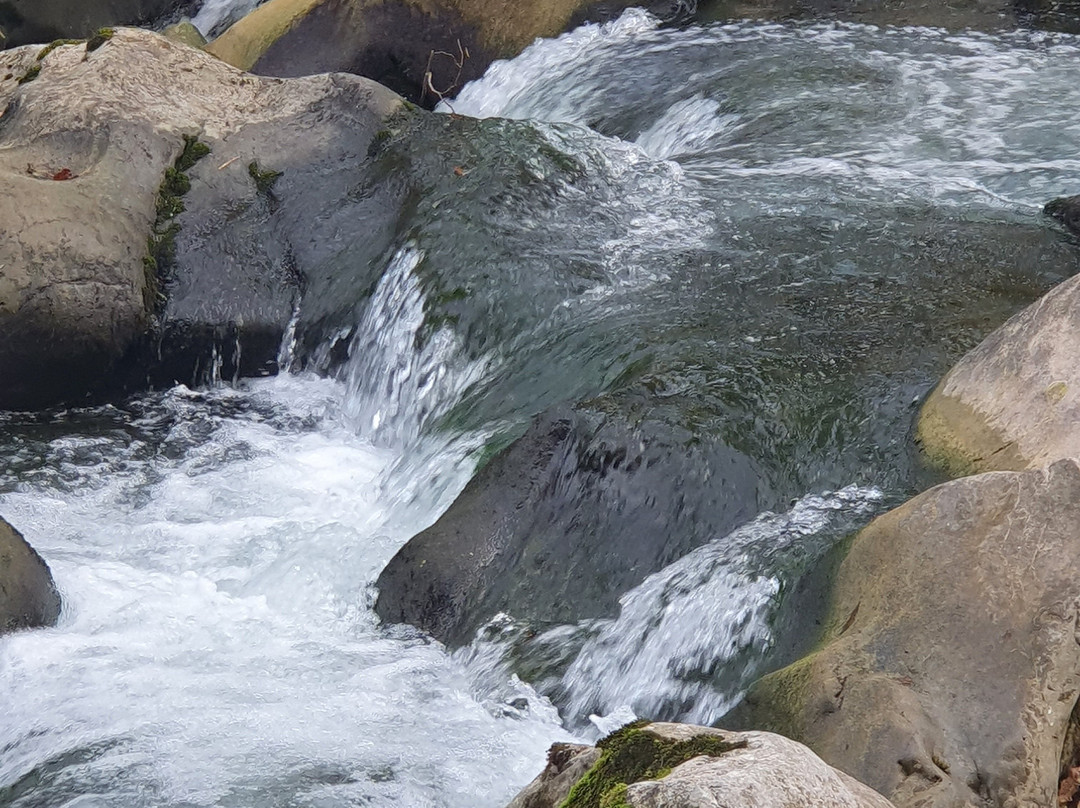 Pasarela del Rio Pas-Puente Viesgo必去景点