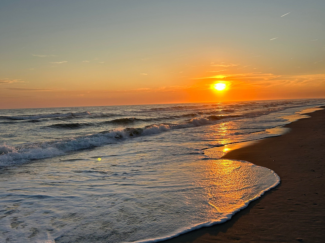 Whaler Inn Beach Club主图