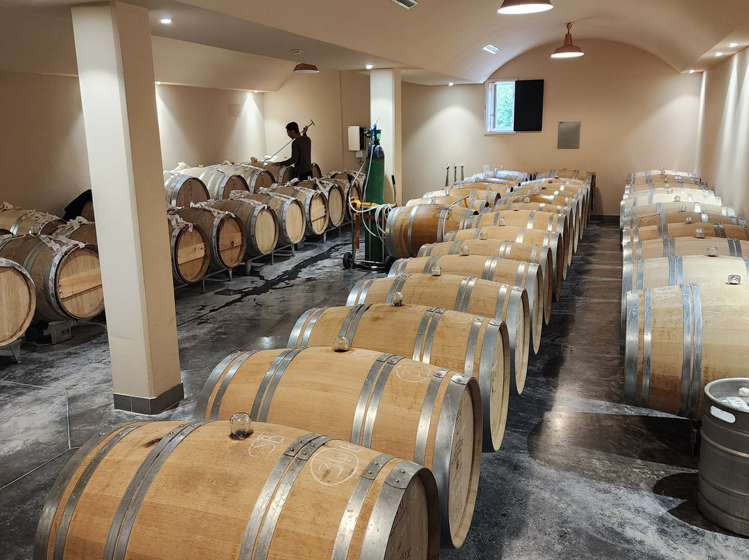 Château Malartic-Lagravière-Leognan必去景点