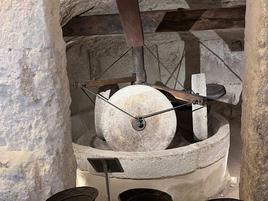 MOOM Matera Olive Oil Museum-马泰拉必去景点