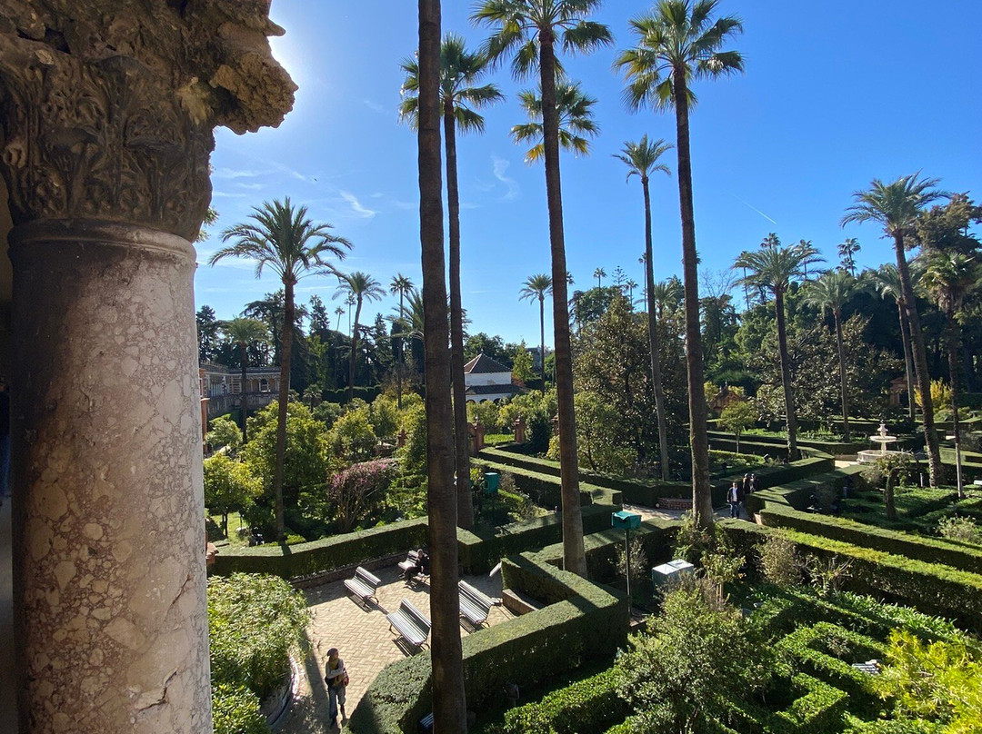 Seville With Estela-塞维利亚必去景点
