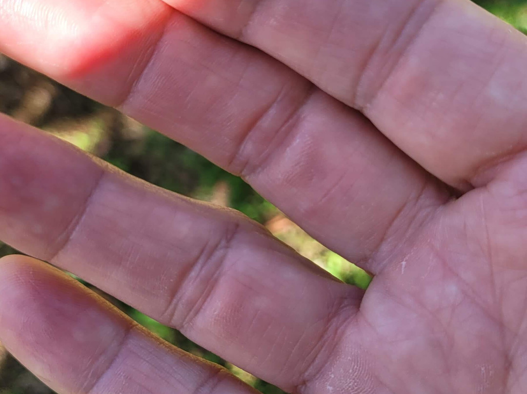 Honokaa Chocolate Co-霍诺卡阿必去景点