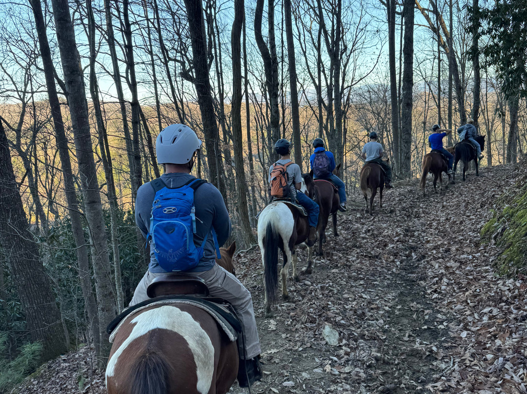 Smoky Mountain Trail Rides and Bison Farm-Marshall必去景点