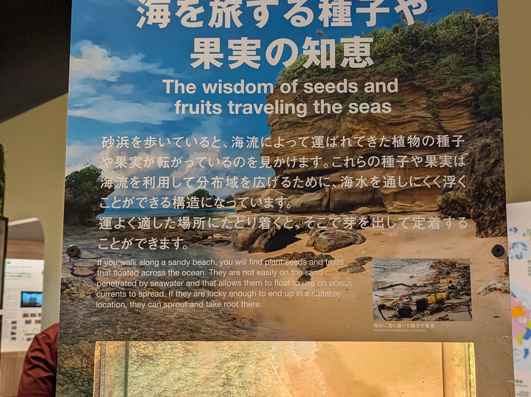 Iriomote Wildlife Conservation Center-竹富町西表岛必去景点