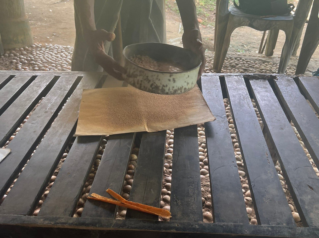 Koggala Lake Boat Safari & Kayak Adventure with Malish-克拉必去景点