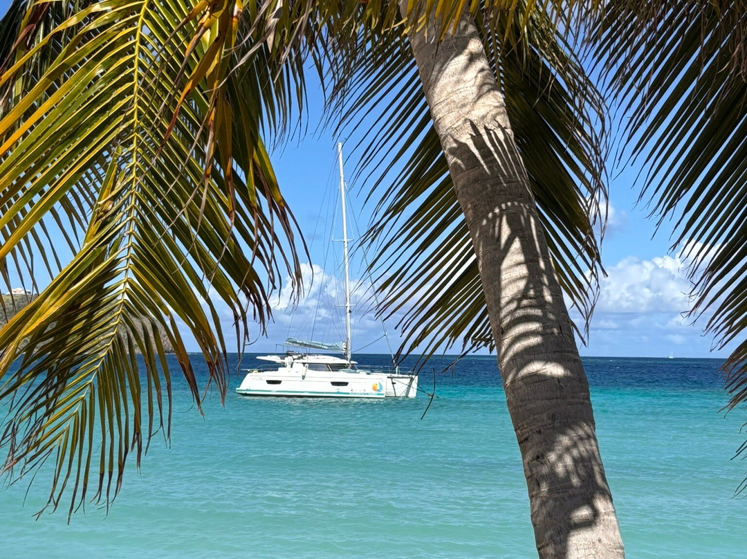 Alex Croisiere Grenadines et Caraibe-Le Marin必去景点