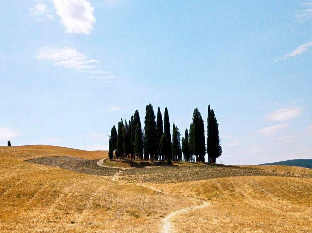 Cipressi di San Quirico d'Orcia-圣奎里科多尔恰必去景点
