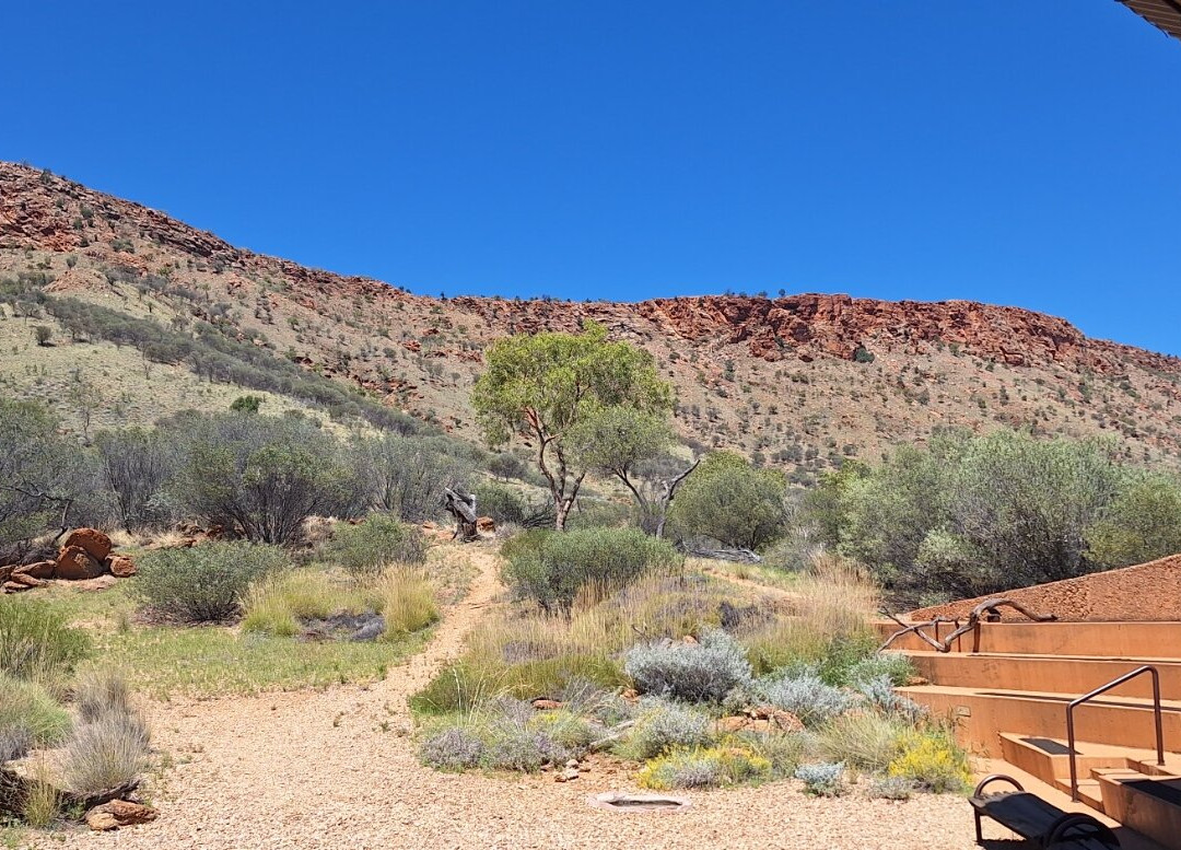 Alice Springs Desert Park-爱丽斯泉必去景点