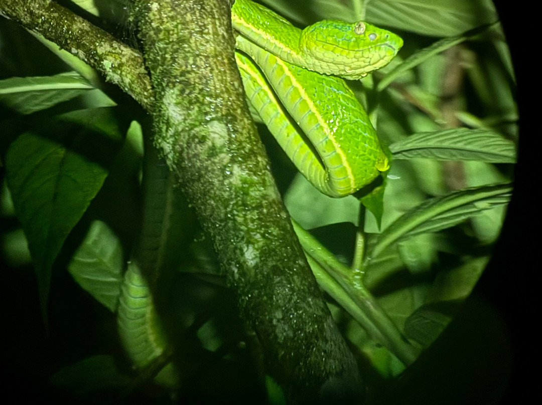 Finca Modelo Ecologica-蒙特沃德必去景点