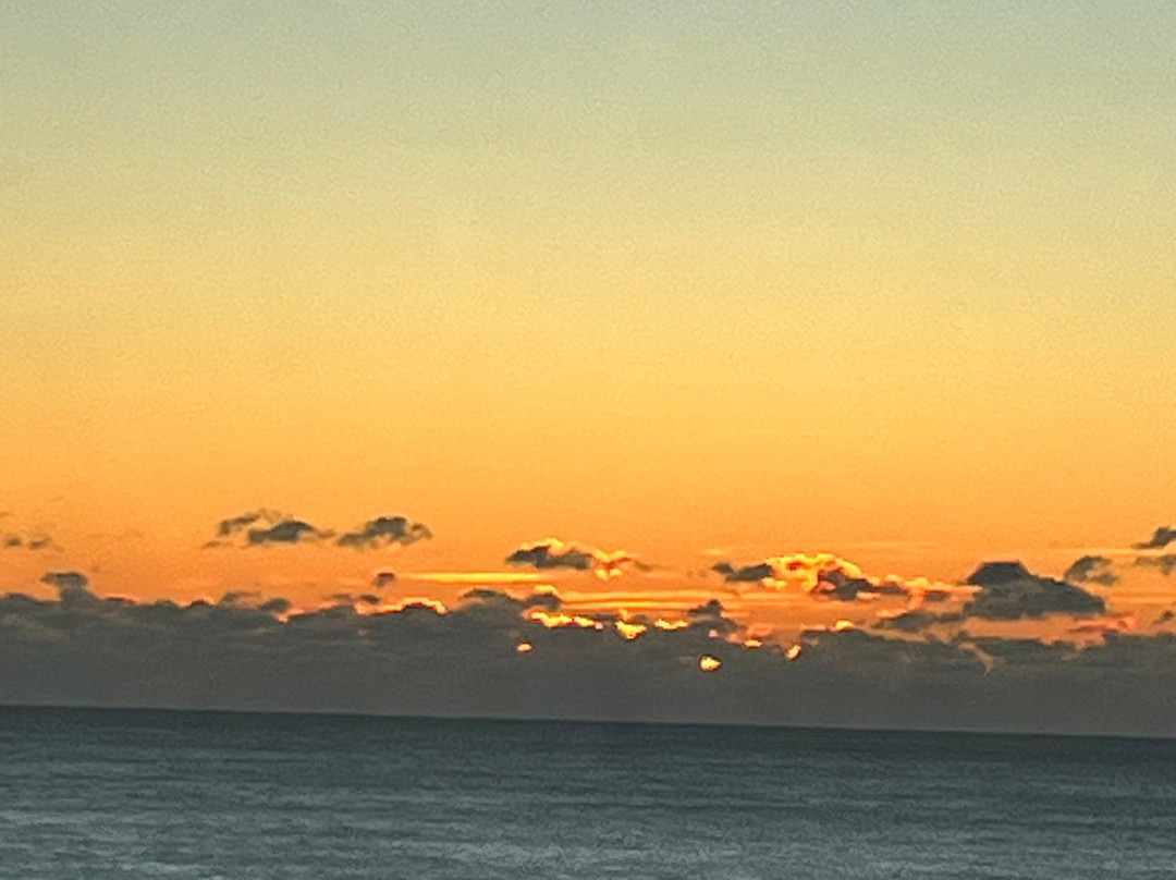 Tides Folly Beach主图