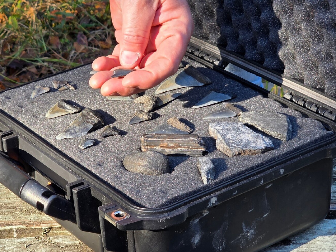 Fossil Expeditions-阿卡迪亚必去景点