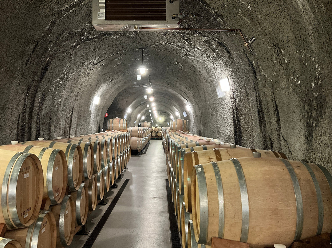 Pine Ridge Vineyards-纳帕必去景点