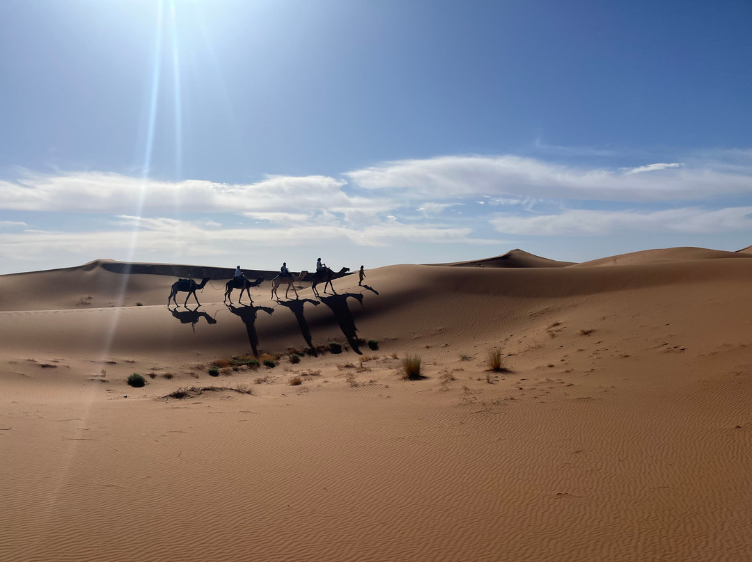 Authentic Morocco-马拉喀什必去景点