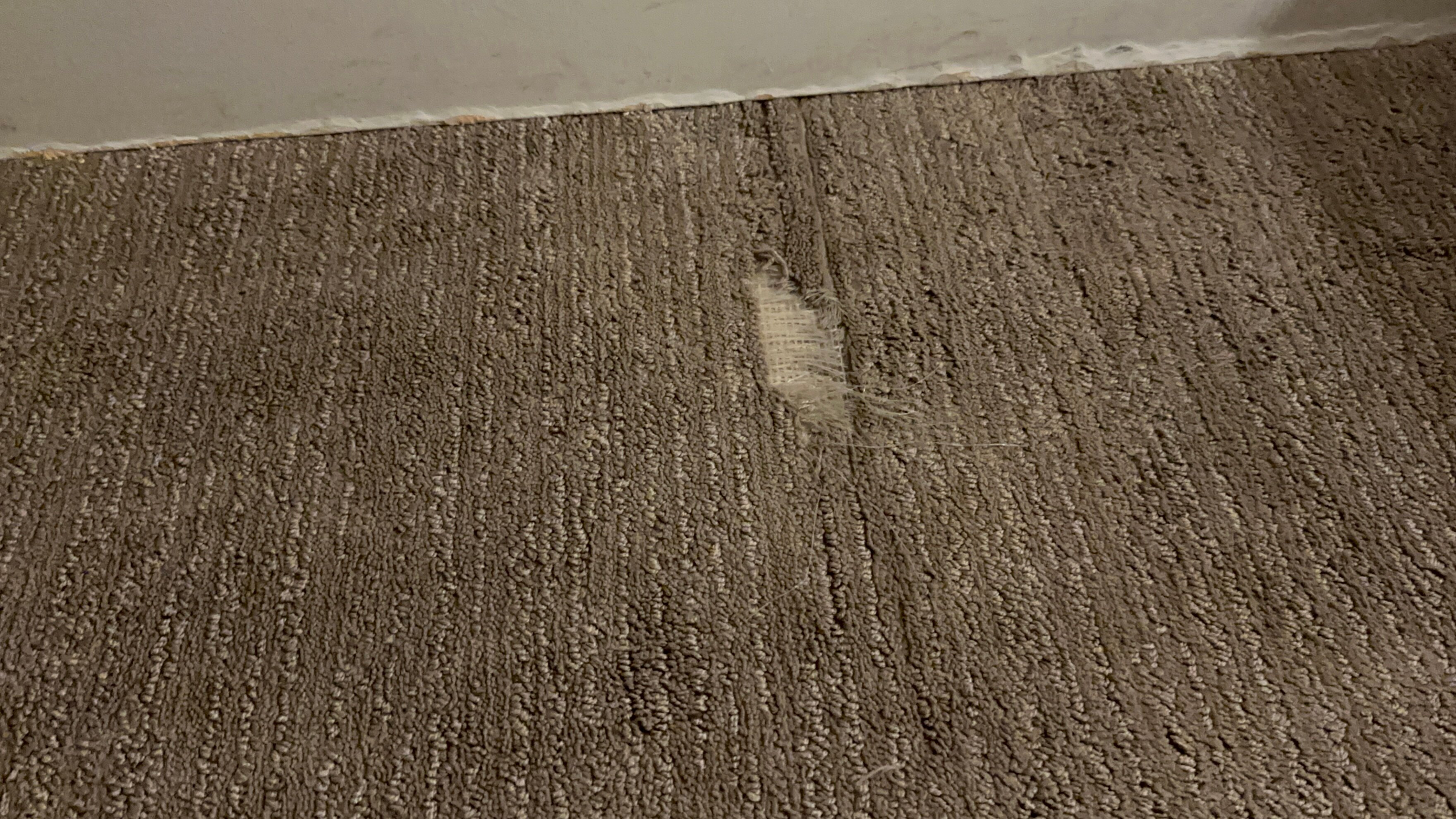 日落大道豪华酒店-官方