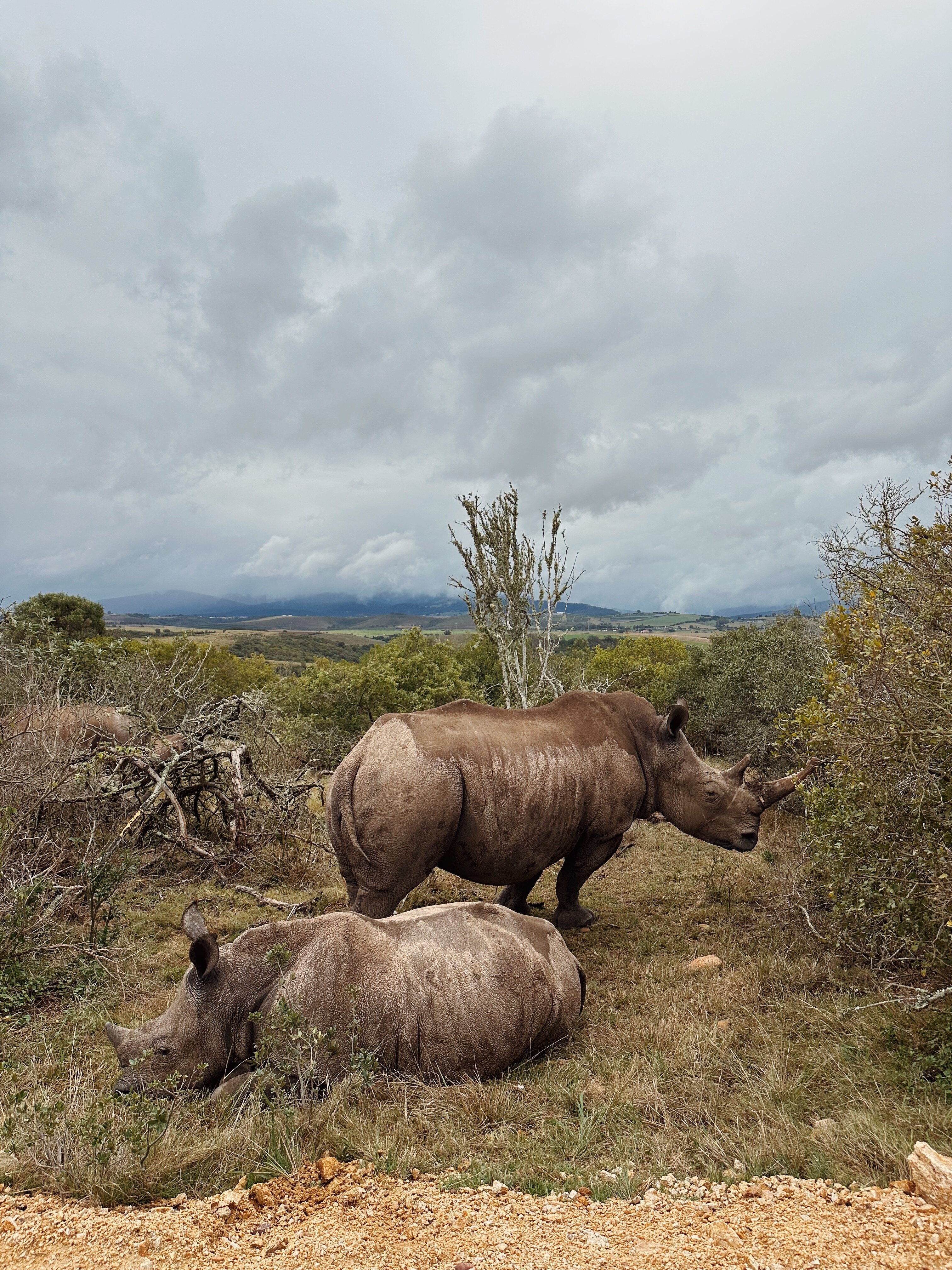 伯特利尔私人狩猎区旅馆-官方