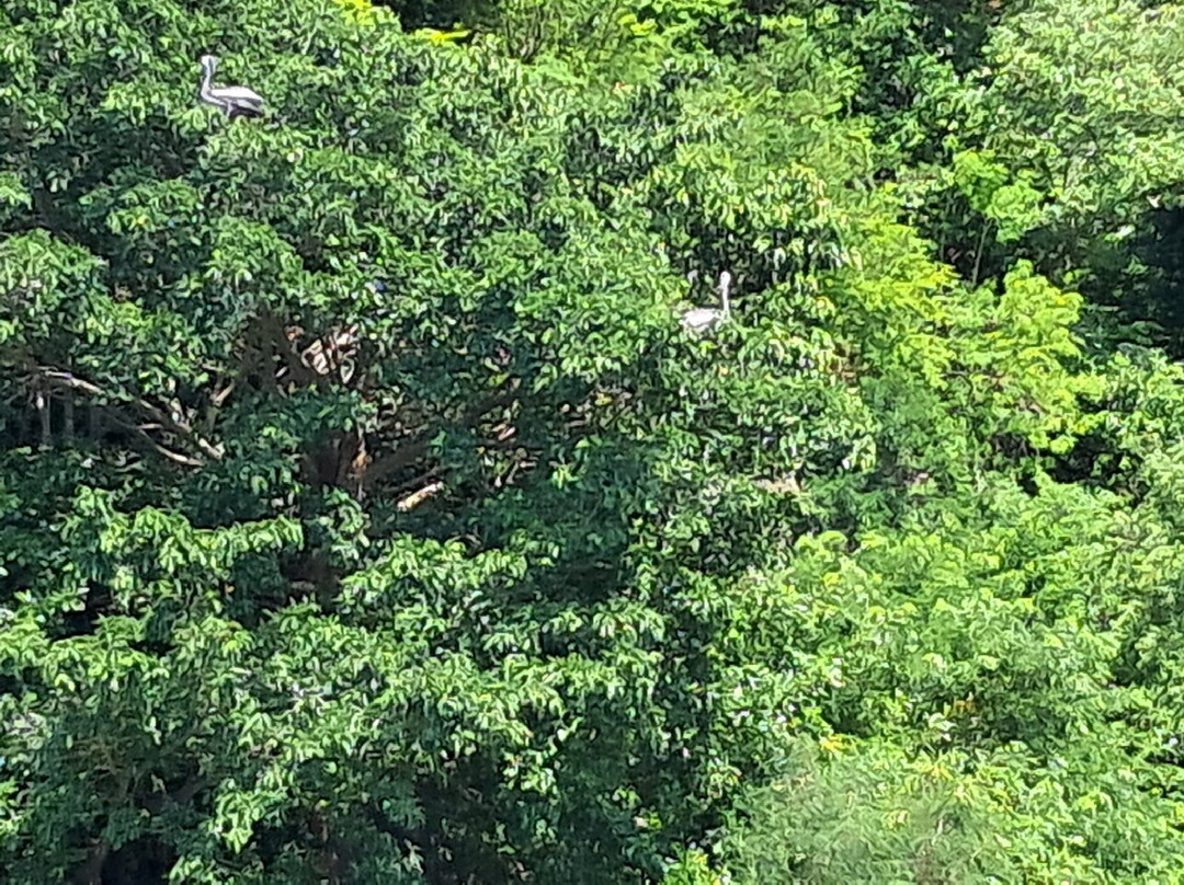 Blue Pearl-瓜德罗普岛必去景点