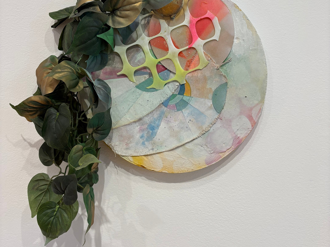 Madison Museum of Contemporary Art-麦迪逊必去景点