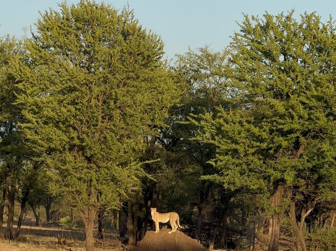 Nature's Land Safaris & Rentals-姆万扎必去景点