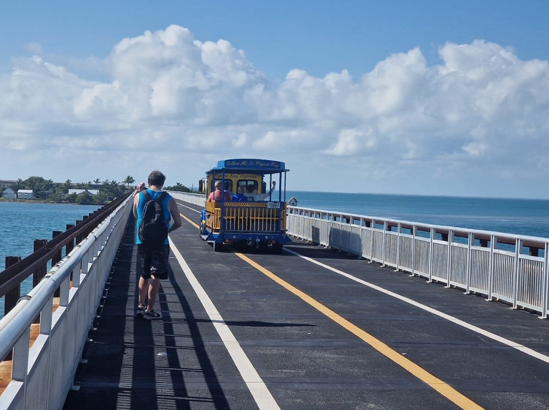 Old Seven Mile Bridge-马拉松必去景点