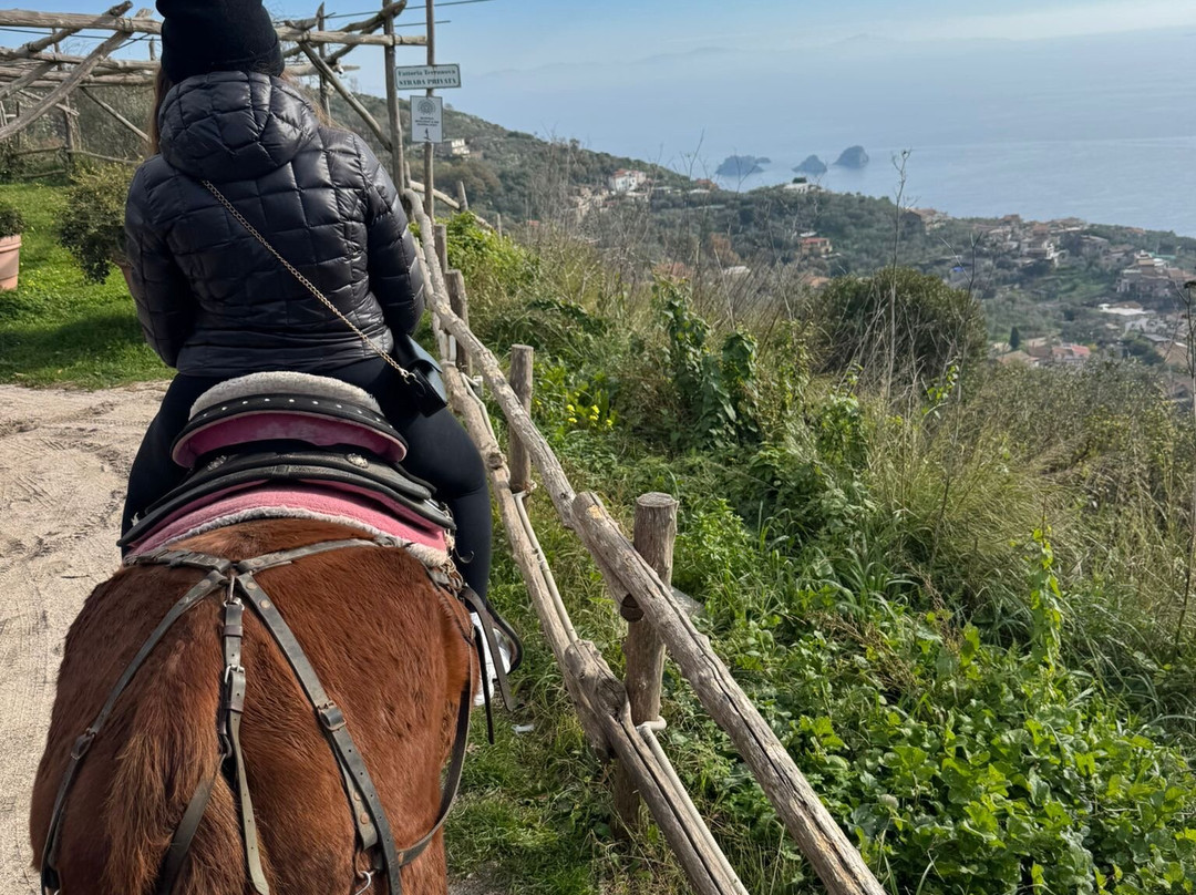 Horse Horizons (Orizzonti a cavallo)-马萨卢布伦塞必去景点