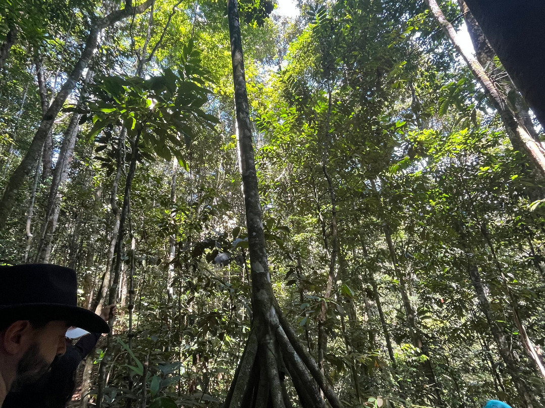 Reserva ecoturística las palmas-Florencia必去景点