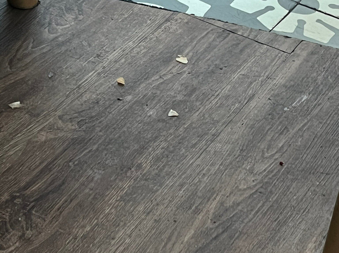 Concordia Lounge-图班必去景点