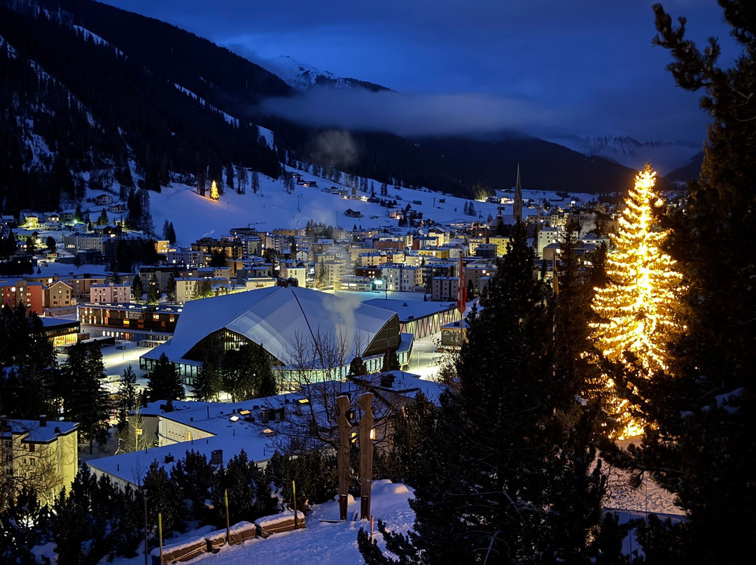 Waldhotel Davos for Body & Soul主图