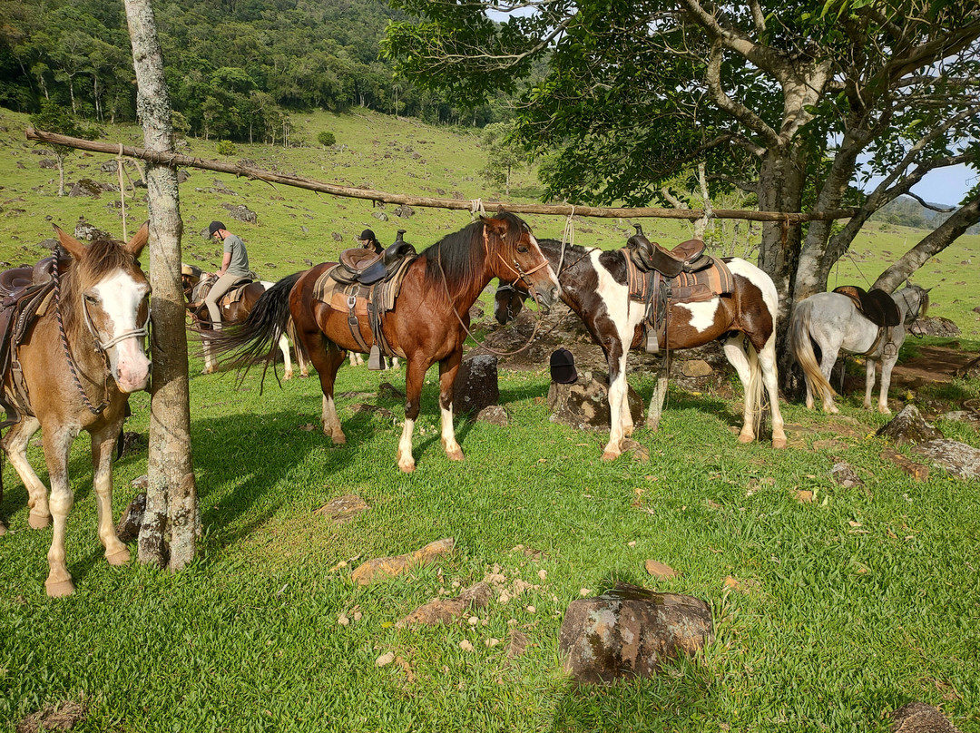 Encantos Do Sul Adventure-Praia Grande必去景点