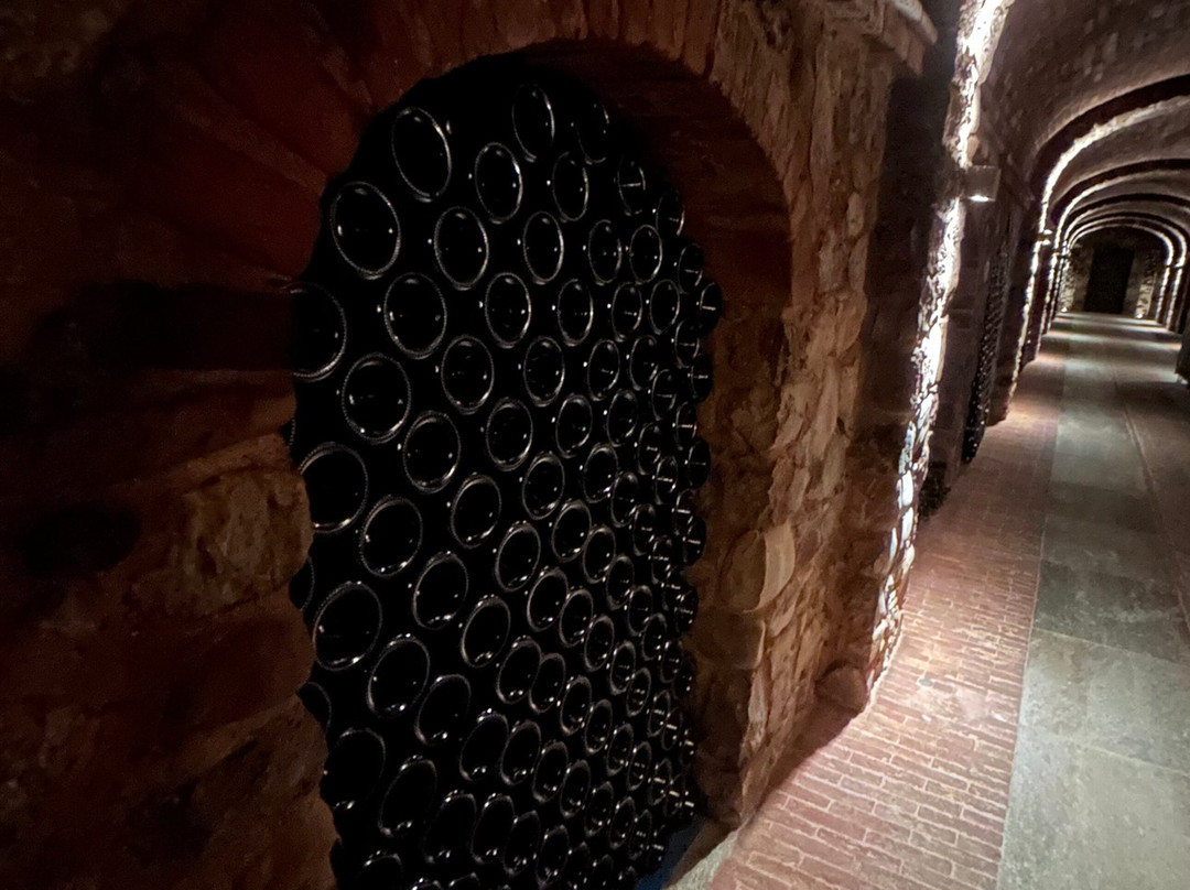 Cascina Chicco-Canale必去景点