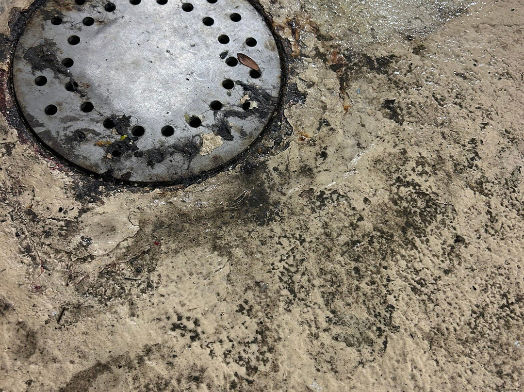 Holiday Inn Youngstown-south (boardman) By IHG主图