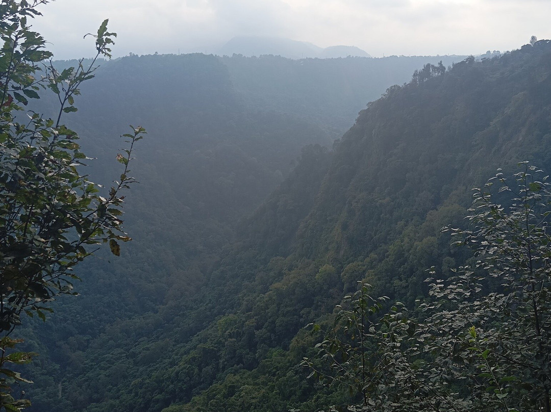 El Catador Tour del Cafe & Catacion-Xicotepec必去景点