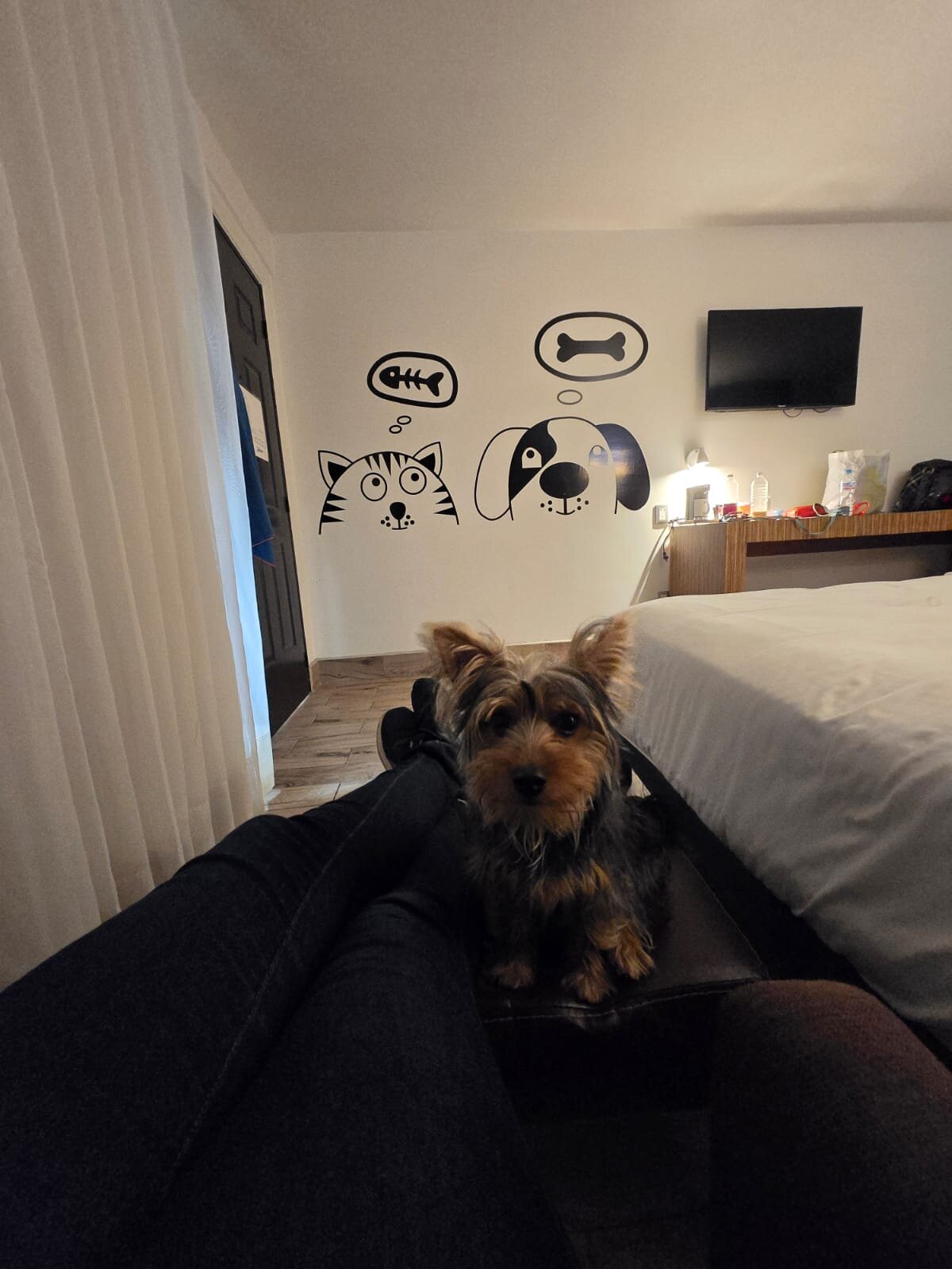 Radisson Hotel & Convention Center Toluca-客卧