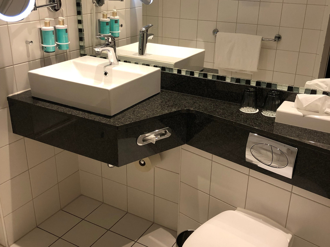 埃朗根诺富特酒店主图