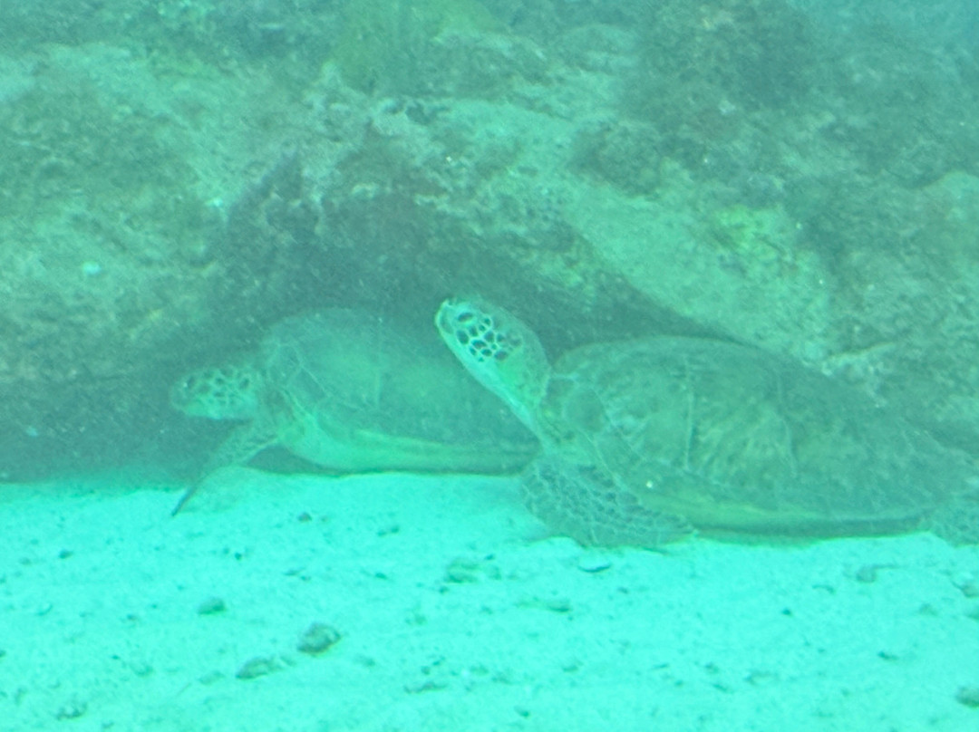 JADS Dive Center-San Nicolas必去景点