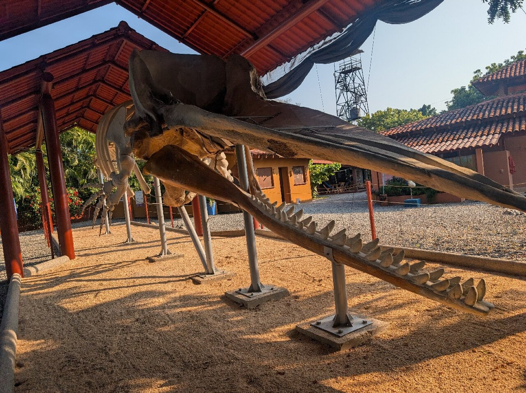 El Refugio de Potosí-芝华塔尼欧必去景点