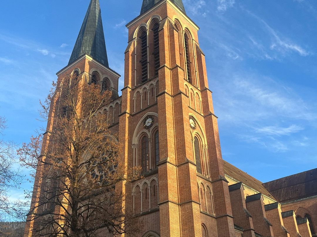 Herz. Jesu Kirche-布雷根兹必去景点