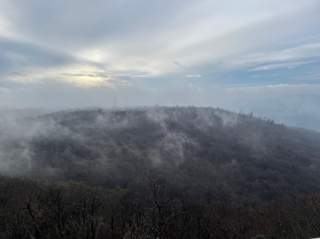 Elizabeth Lookout-布达佩斯必去景点