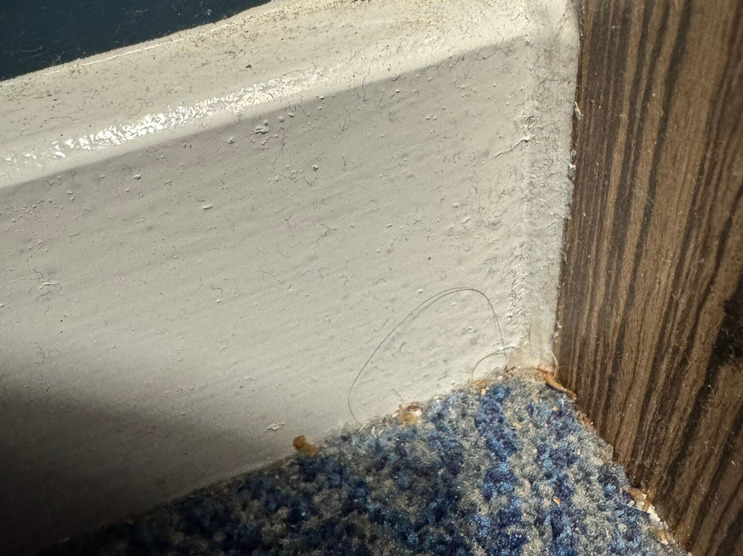 Travelodge Aldershot Hotel主图