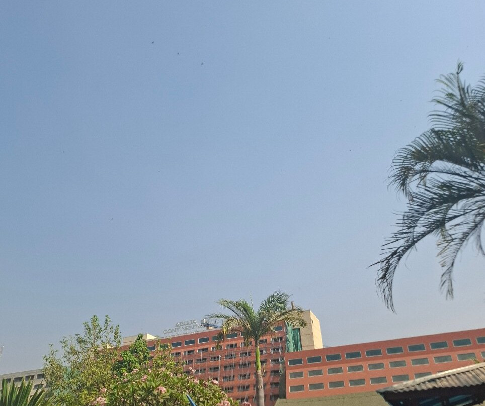 阿布贾喜来登酒店主图