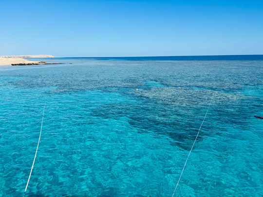 Atlantik Diving Center-艾尔可西利亚必去景点