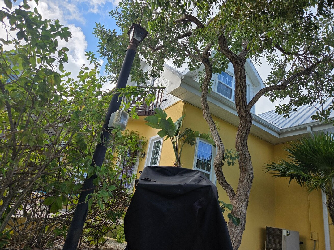 Shangri-La Bed & Breakfast主图