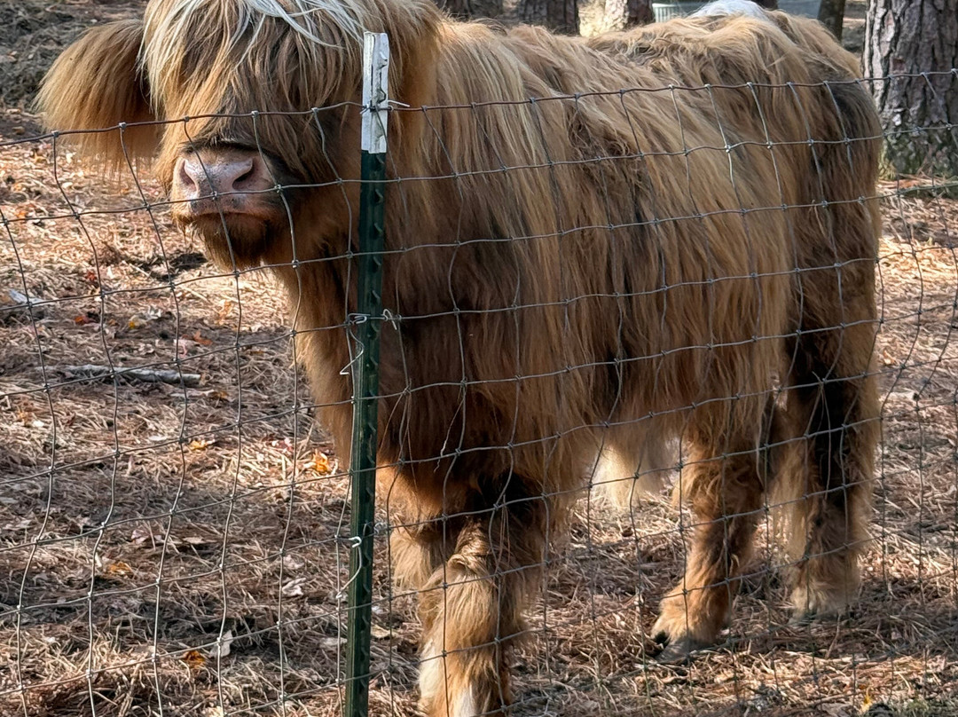 Redemptive Love Farm-Miccosukee必去景点