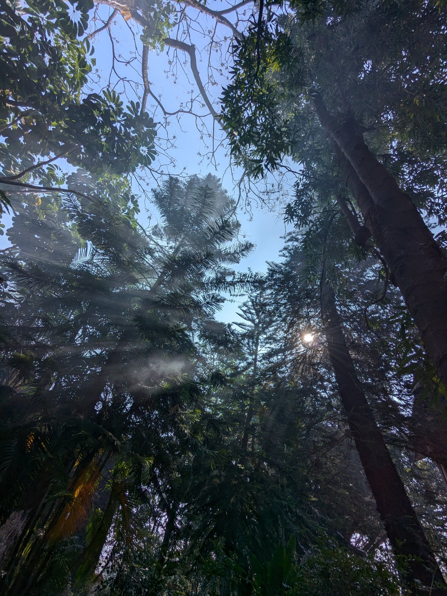 MTDC Resort, Panshet-官方